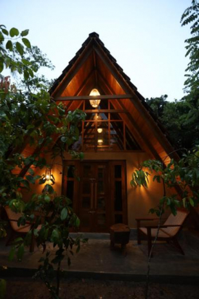 Cinnamon Paradise